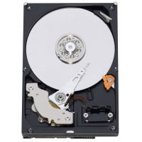 Hp VCX V7005 250GB Spare Hard Drive (JC520A)